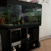 ACQUARIO NUOVO