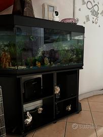 ACQUARIO NUOVO