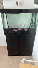 acquario 220 litri