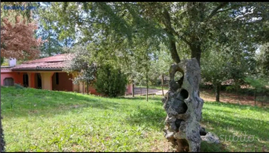 Casa in Campagna tra Mamoiada e Gavoi