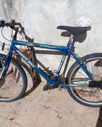 bicicletta Mountain bike 