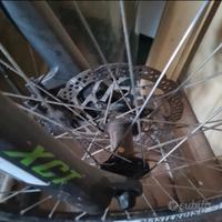 bici ktm chicago