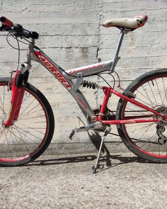 Mountain Bike Aurora Downhill 26" biammortizzata C