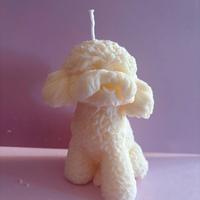 candela profumata barboncino cane