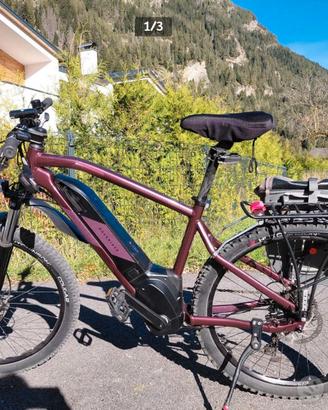e-bike bicicletta elettrica