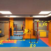 Struttura di Calisthenics IronLink