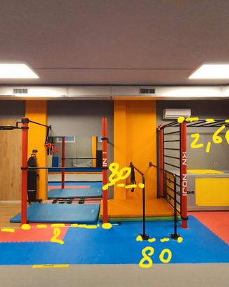 Struttura di Calisthenics IronLink
