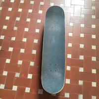 Skateboard con lupo
