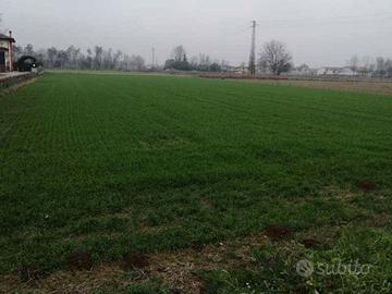 Terreno edificabile + agricolo per uso giardino