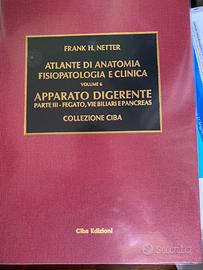 Netter Apparato digerente Parte III
