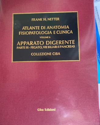 Netter Apparato digerente Parte III