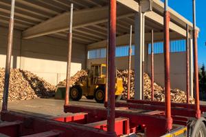 Rimorchio trasporto legname