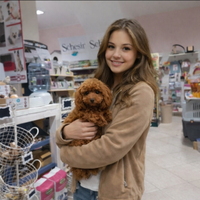 Barboncini toy e mini toy