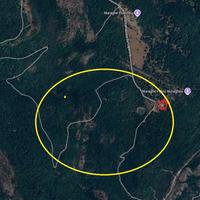 Adatto biodiversità terreno sul Monte Minerva