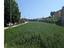 Immagine 13