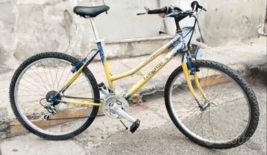 Mountain bike 26 LONGWAY