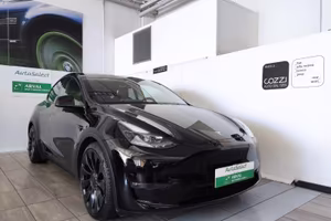 TESLA Model Y - Model Y AWD Performance