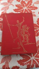 DON CHISCIOTTE DELLA MANCIA illustrato da Dalì