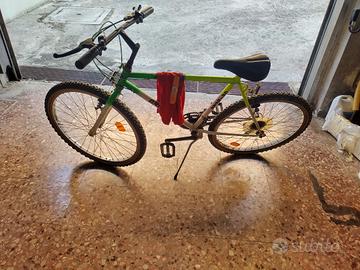 bicicletta MTB da 24