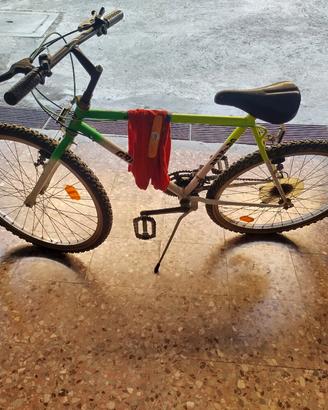 bicicletta MTB da 24