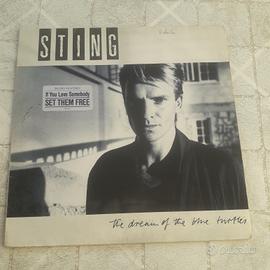 LP Sting