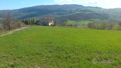 Terreno agricolo con fabbricato