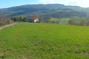 Terreno agricolo con fabbricato