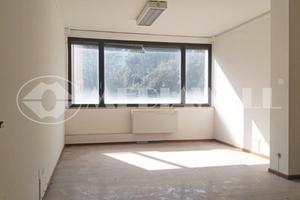 Pentalocale a Pordenone