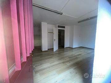 Loft 50 mq con ingresso indipendente Cologno nord