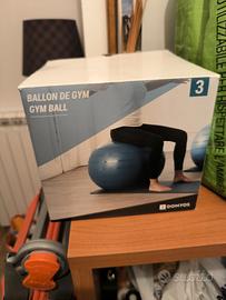 Palla Fitball Fitness Ginnastica Piltaes