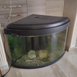 vasca per acquario vetro ricurvo da 200 litri