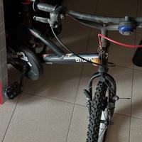 Bici Bwin