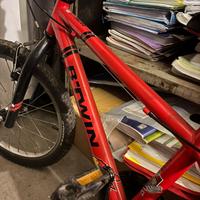 Bici bambino