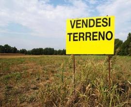 Terreno agricolo/boschivo PATRICA