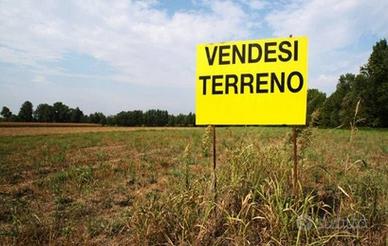 Terreno agricolo/boschivo PATRICA