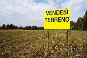 Terreno agricolo/boschivo PATRICA