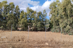 Terreno edificabile Tuerra 1