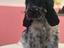 Immagine 5