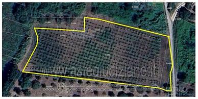 Terreno Agricolo Lanciano [A4344521]