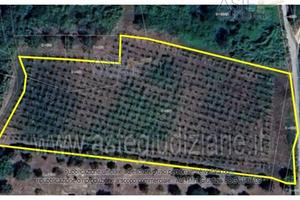 Terreno Agricolo Lanciano [A4344521]