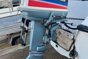 Evinrude Hp 25