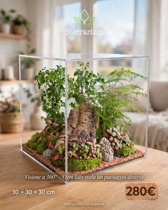 terrarium tropicale 