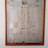 Quadro Uomo Vitruviano