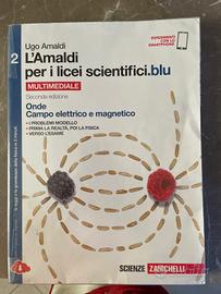 Libro l'armaldi per licei scientifici blu 2