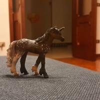 Puledro Baio Unicorno