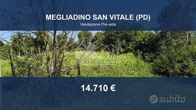 Immobile in asta di 1178 m² a Megliadino San Vital