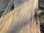 Immagine 11