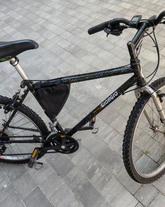 Bicicletta