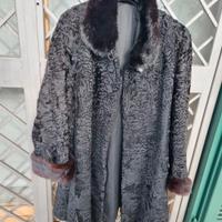 pelliccia di Ermellino