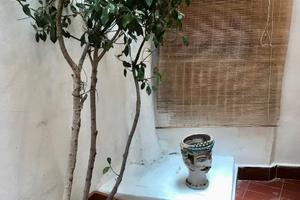 Ampio monovano con giardino